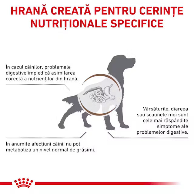 Royal Canin Gastrointestinal Low Fat Dog 200 g – Hrană dietetică umedă pentru câini