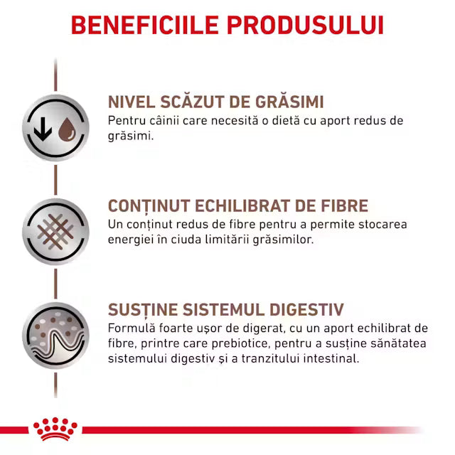 Royal Canin Gastrointestinal Low Fat Dog 200 g – Hrană dietetică umedă pentru câini