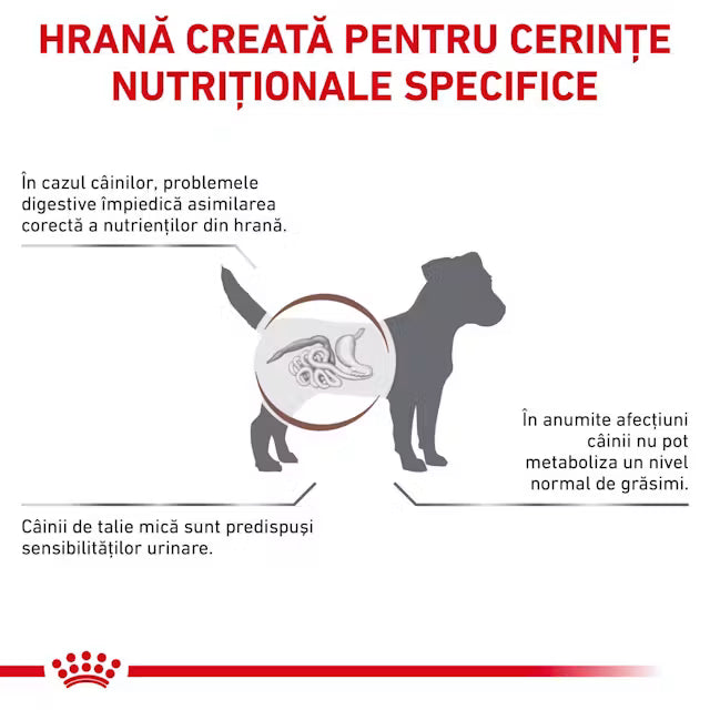Royal Canin Gastrointestinal Low Fat Small Dog 3,5 kg – Hrană dietetică pentru câini de talie mică