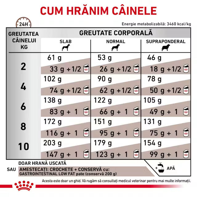 Royal Canin Gastrointestinal Low Fat Small Dog 1,5 kg – Hrană dietetică pentru câini de talie mică
