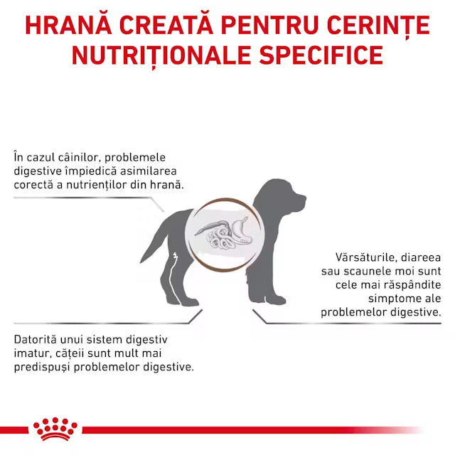 Royal Canin Gastrointestinal Puppy 1 kg – Hrană dietetică pentru căței