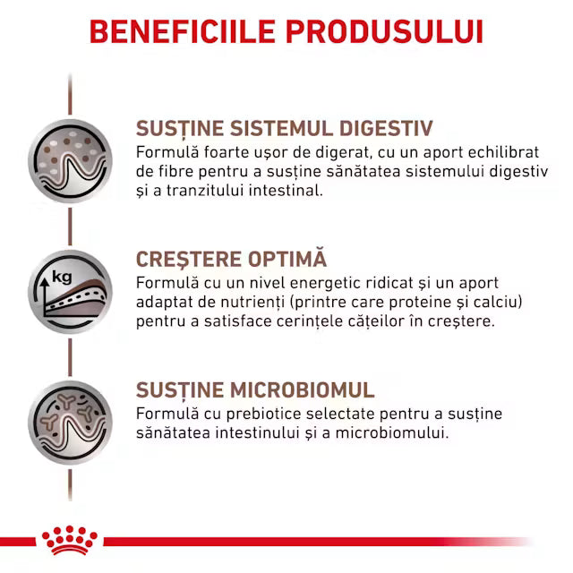 Royal Canin Gastrointestinal Puppy 1 kg – Hrană dietetică pentru căței