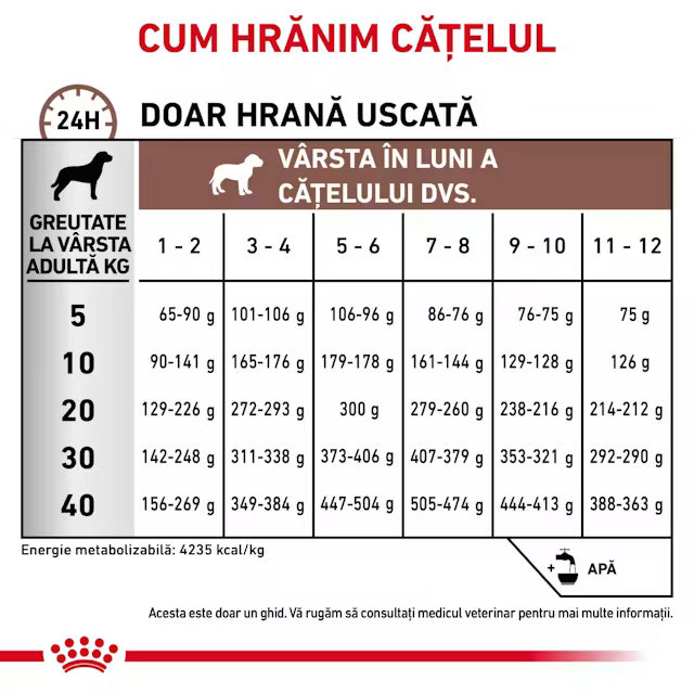Royal Canin Gastrointestinal Puppy 1 kg – Hrană dietetică pentru căței