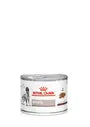 Royal Canin Hepatic Dog 200g – Hrană dietetică umedă pentru câini adulți