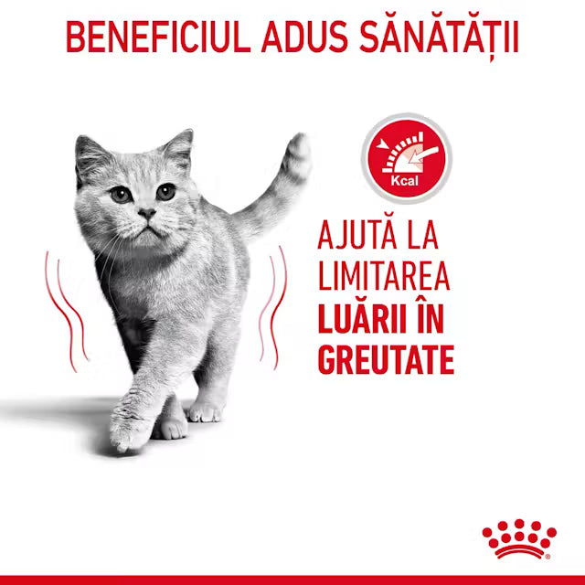 Royal Canin Light Weight Care – Hrană uscată pentru pisici adulte