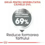 Royal Canin Mini Dental Care 1 kg – Hrană uscată pentru câini adulți de talie mică