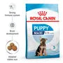 Royal Canin Puppy Maxi – Hrană uscată pentru căței de talie mare