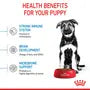Royal Canin Puppy Maxi – Hrană uscată pentru căței de talie mare