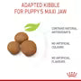 Royal Canin Puppy Maxi – Hrană uscată pentru căței de talie mare