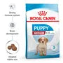 Royal Canin Puppy Medium – Hrană uscată pentru căței de talie medie