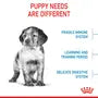 Royal Canin Puppy Medium – Hrană uscată pentru căței de talie medie