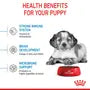 Royal Canin Puppy Medium – Hrană uscată pentru căței de talie medie