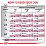 Royal Canin Renal Dog 200 g – Hrană dietetică umedă pentru câini adulți