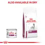 Royal Canin Renal Dog 200 g – Hrană dietetică umedă pentru câini adulți