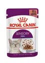 Royal Canin Sensory Feel – Hrană umedă pentru pisici adulte, 12x85g