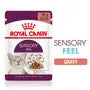 Royal Canin Sensory Feel – Hrană umedă pentru pisici adulte, 12x85g