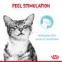Royal Canin Sensory Feel – Hrană umedă pentru pisici adulte, 12x85g