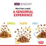 Royal Canin Sensory Feel – Hrană umedă pentru pisici adulte, 12x85g