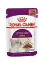 Royal Canin Sensory Smell – Hrană umedă pentru pisici adulte, 12x85g