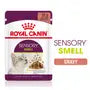 Royal Canin Sensory Smell – Hrană umedă pentru pisici adulte, 12x85g