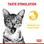 Royal Canin Sensory Taste – Hrană umedă pentru pisici adulte, 12x85g