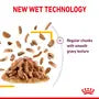 Royal Canin Sensory Taste – Hrană umedă pentru pisici adulte, 12x85g