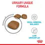 Royal Canin Urinary Care – Hrană uscată pentru pisici adulte