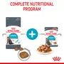 Royal Canin Urinary Care – Hrană uscată pentru pisici adulte