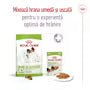 Royal Canin X-Small Adult – Hrană uscată pentru câini adulți de talie foarte mică