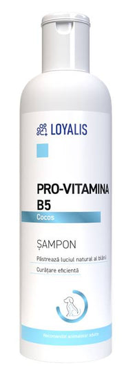 Sampon de Rutină Loyalis Pro-Vitamina B5 și Cocos, pentru Câini și Pisici, 200 ml
